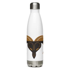 Aries Stainless Steel Water Bottle