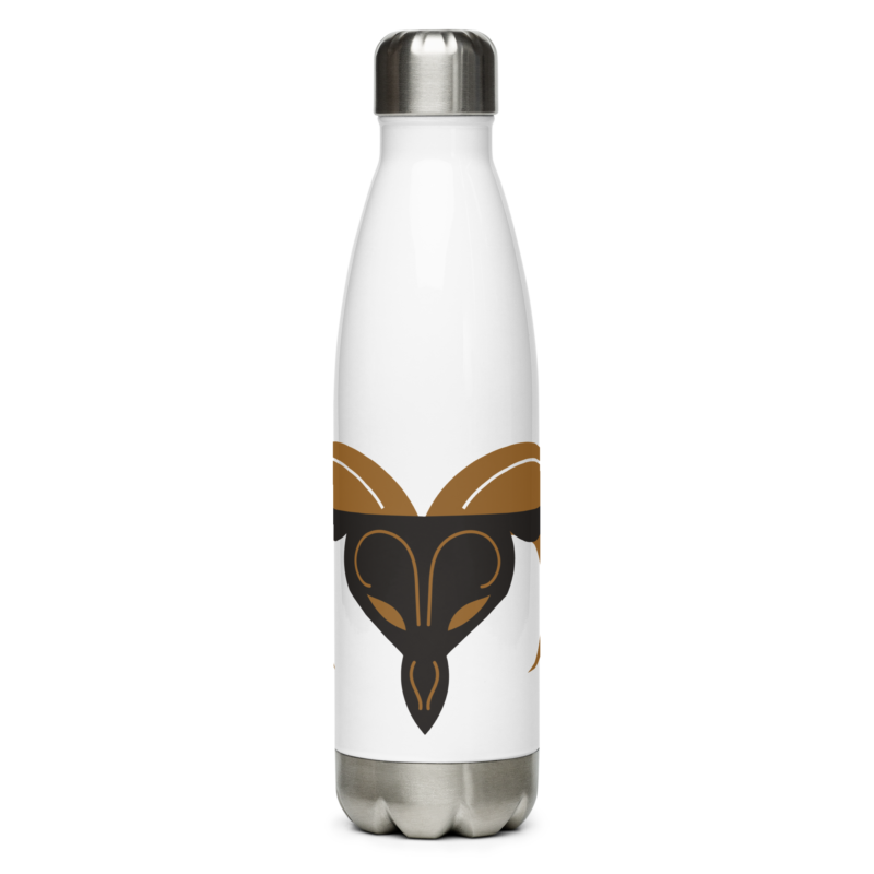 Aries Stainless Steel Water Bottle