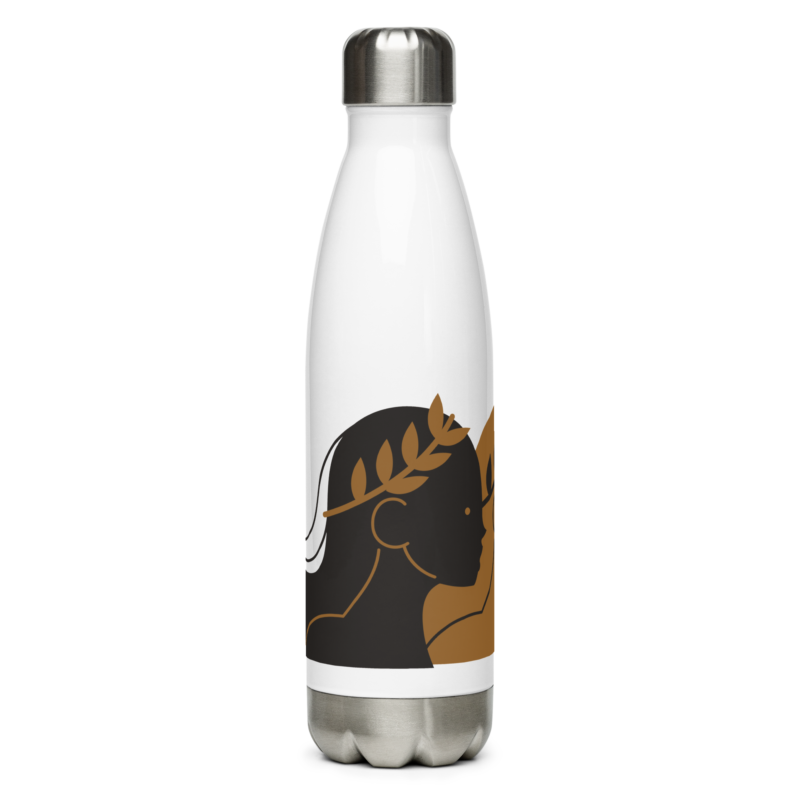 Gemini Stainless Steel Water Bottle