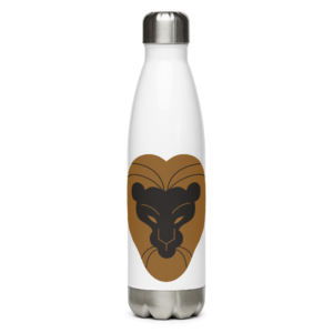 Leo Stainless Steel Water Bottle