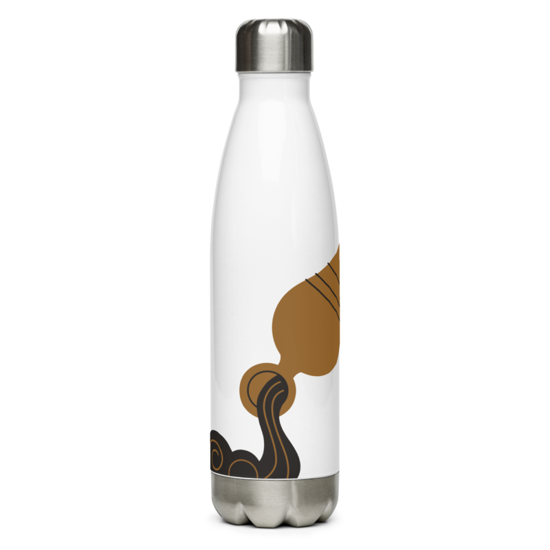 Aquarius Stainless Steel Water Bottle
