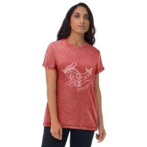 unisex denim t shirt garnet red front 64089a1b536db